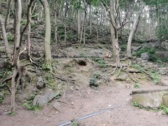 -黔灵山公园