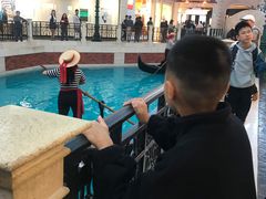-澳门威尼斯人综合度假区