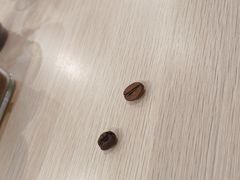 -巴厘岛黄金金兔咖啡工厂