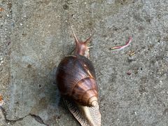 -海南热带野生动植物园