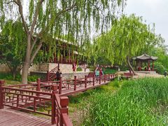 -北坞公园