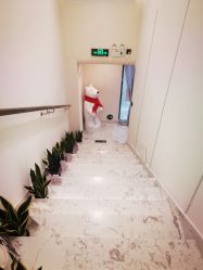 -海涛医疗美容·面部抗衰·注射美鼻