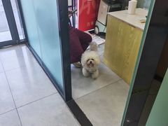 -中农大我爱我爱动物医院·核磁CT·猫病·24小时夜诊中心(石佛营店)