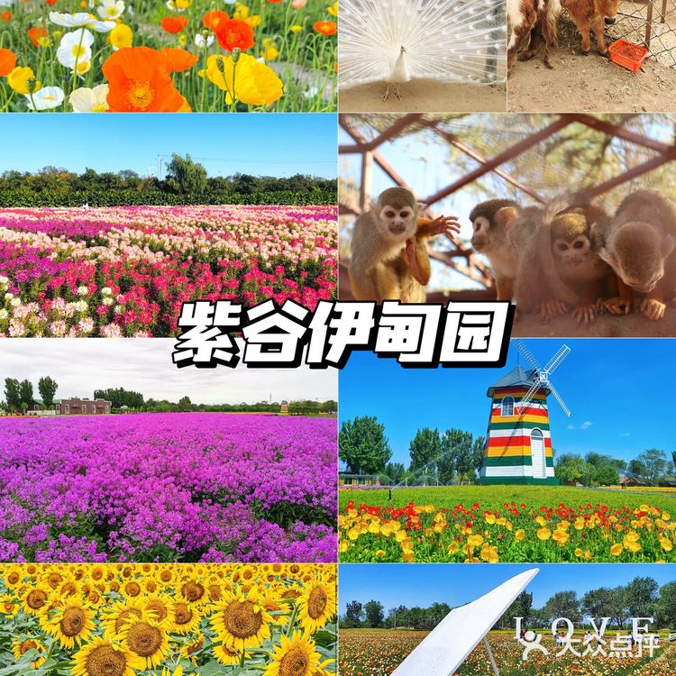 北京花海🌺金秋十月赏花攻略㊙️