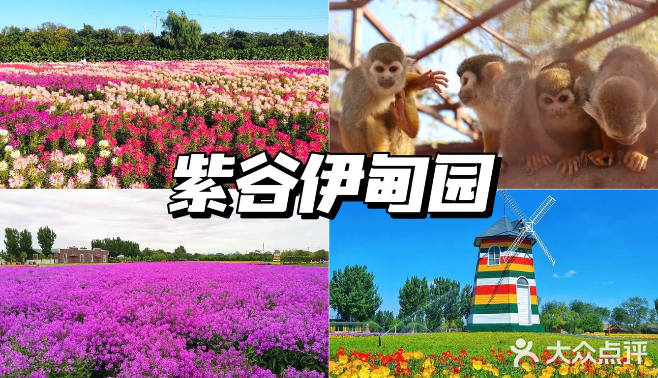 北京花海🌺金秋十月赏花攻略㊙️