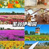 北京花海🌺金秋十月赏花攻略㊙️