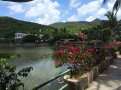 -三亚亚龙湾凯莱仙人掌度假酒店