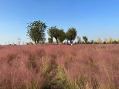 -汉长安城未央宫国家考古遗址公园