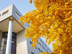 -中国石油大学（北京）(北京西校区)