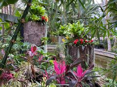 -北京植物园-展览温室