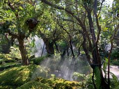 -Chom Cafe and Restaurant