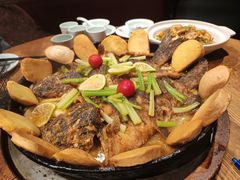 -老板恋上鱼(高新万达店)