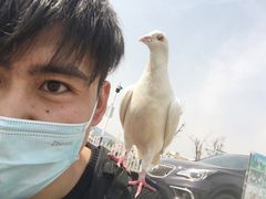 -滇池海埂公园