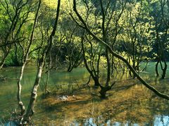 -小格里自然风景区