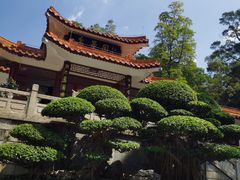 -深圳仙湖植物园