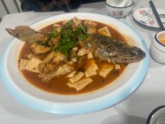 -煲来饱去冷水鱼