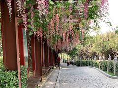 -西安汉城湖景区