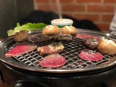 -火烈鸟