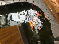 -上海大自然野生昆虫馆(东方明珠·爬宠昆虫探索中心)