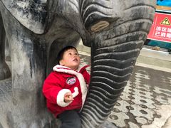 -西安秦岭野生动物园