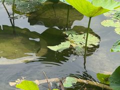 -郭守敬纪念馆