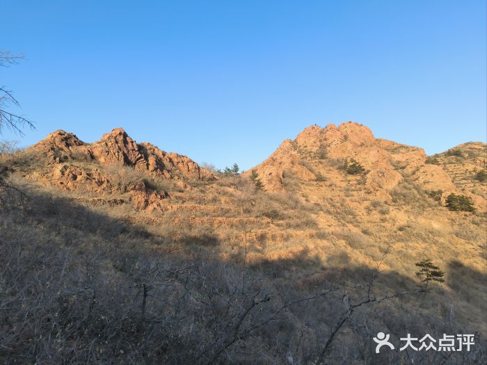 红山国家森林公园图片