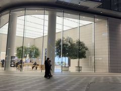 -Apple零售店(济南恒隆广场店)