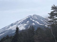 -富士电视台总部大楼