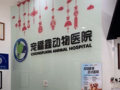 -宠福鑫动物医院(望京分院)