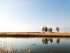 -野鸭湖国家湿地公园