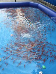 -大望京儿童游乐场