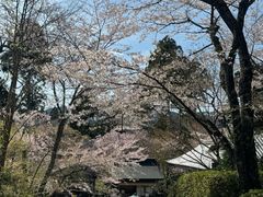 -三千院
