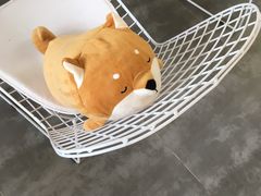 -五进制 Coffee Shop