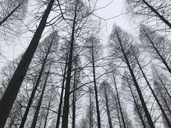 -上海怡沁园度假酒店