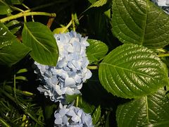 -常州古运河南大街文化旅游区-人民公园