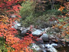 -丹东天桥沟景区