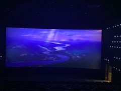 -深影国际影城(学院南路店CGS中国巨幕店)