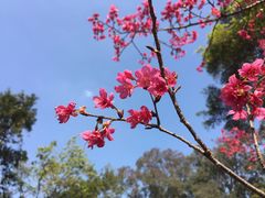 -广州市白云山风景名胜区