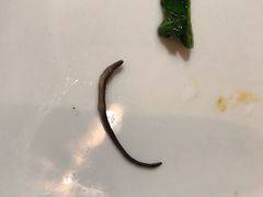 -HOHO餐厅(古子城店)