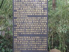 -金孔雀温泉旅游度假村