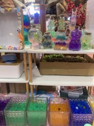 -卡通尼·Safari非洲探索乐园·生日会(金桥国际商业广场店)