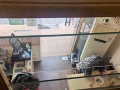 -小小馄饨店(清泰街店)