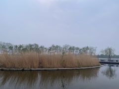 -绿堤公园