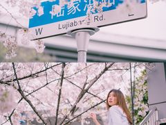 -上海南浦大桥长途旅游客运站