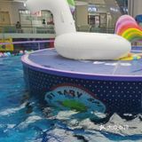 89元带宝宝去游泳🏊