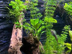 -上海海洋水族馆