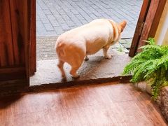 -阿木舂记·特色小吃(平江路店)