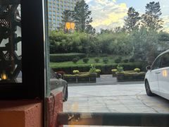 -清真·双公羊·馕坑烤全羊(奥体店)