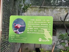 -金陵一哥龙虾馆(三牌楼总店)