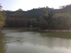 -滴水岩森林公园